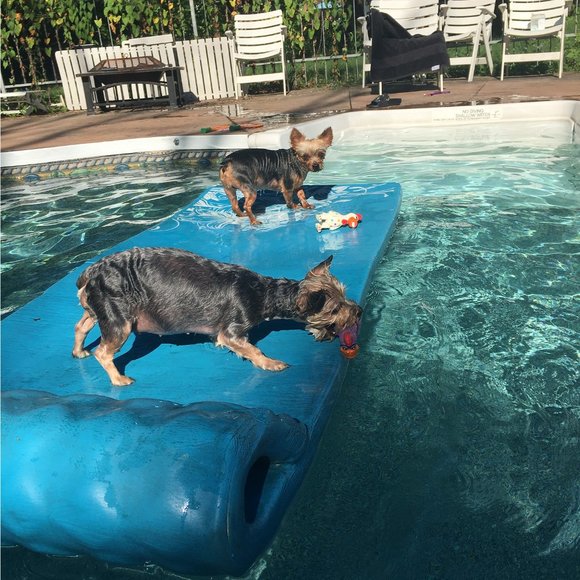 Meet Your Posher, Alex! - Picture 4 of 4